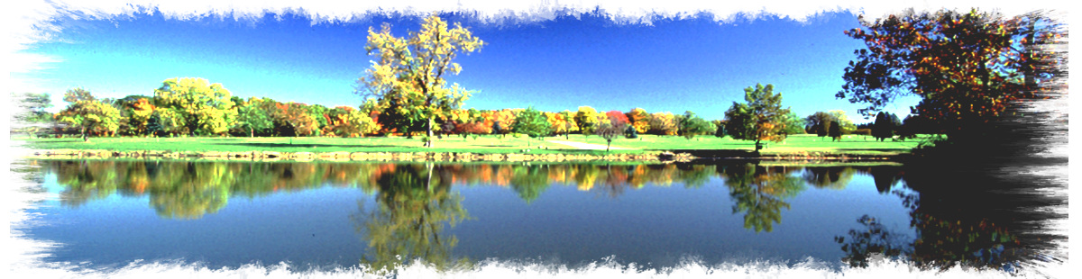 先祖の祭祀を代々承継する「家庭の墓」